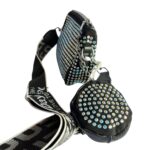 Shinora Crystal Pouch Bag